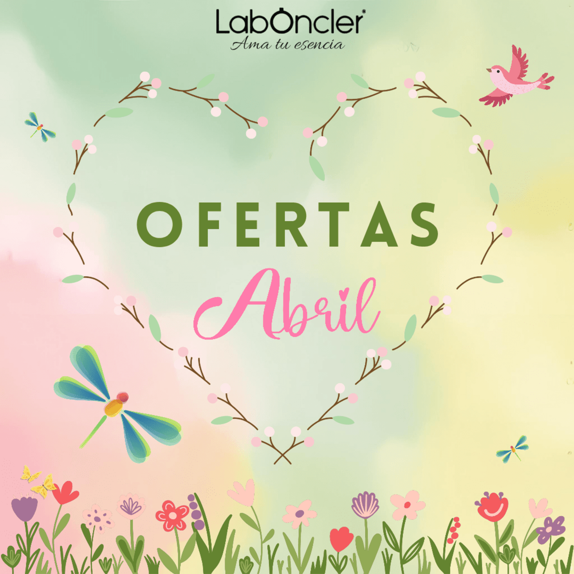 Ofertas del mes